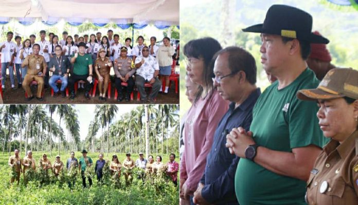 Panen Perdana Kacang Batik, Wagub Steven Kandouw Bantu Kelompok Tani di Likupang Timur